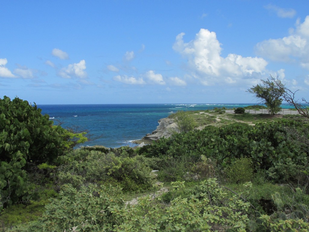 15.01.05 Grand Turk North shore