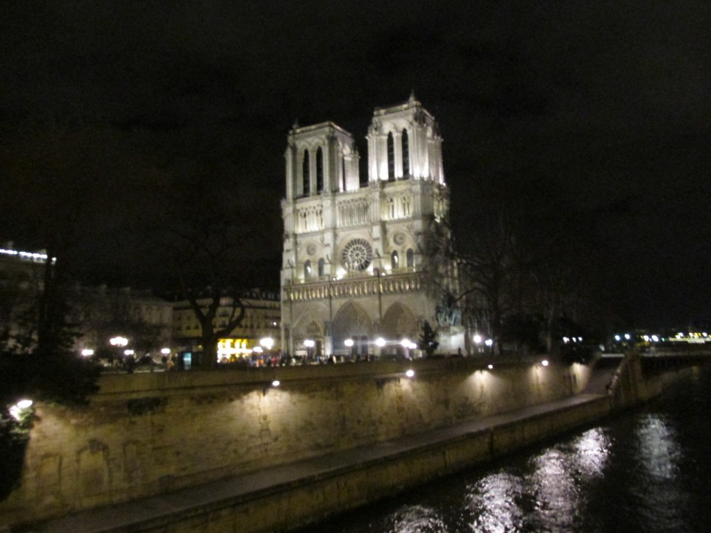 15.02.21 Paris Notre Dame 2