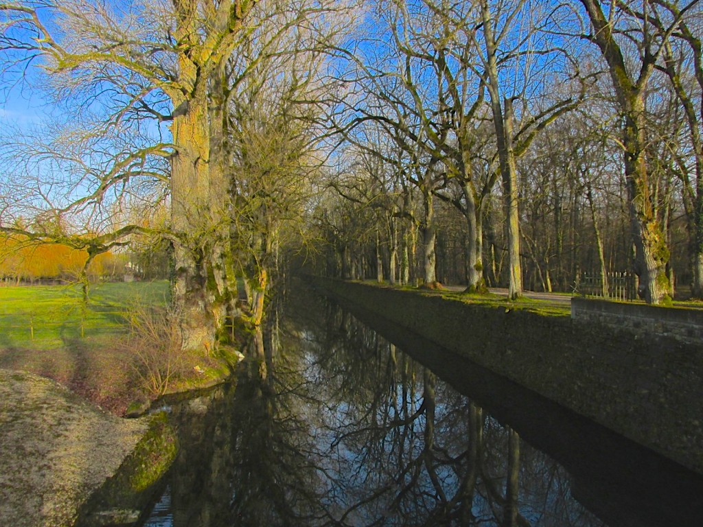 15.02.24 Chenonceau Canal 1
