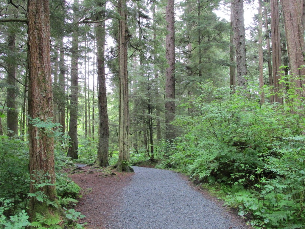 06:18:15 Sitka Rain Forest Trail 6